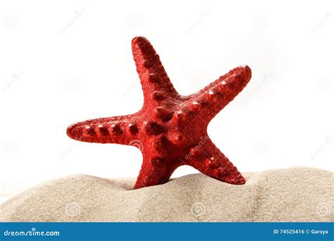 Sea Star In Sand Stock Photo Image Of Barren Desert 74525416