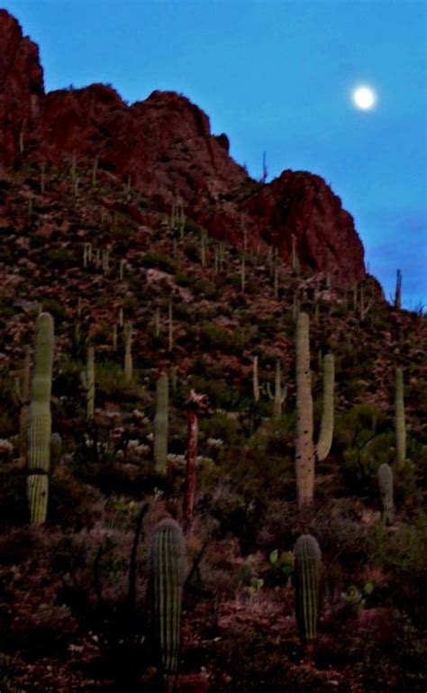 Night desert landscape with car on road, billboard and moon in sky. Saturday Night in the Desert: Cactus Moon Rising