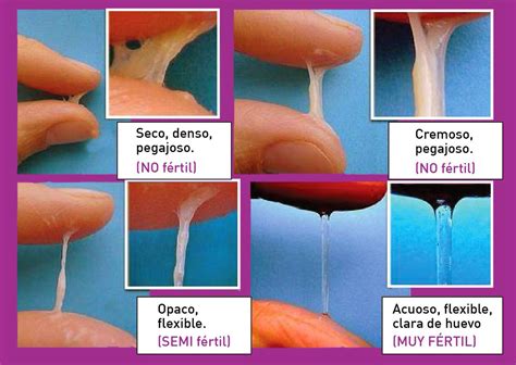 10 Cosas Que Te Provocan Más Flujo Vaginal Y No Sabías Scoopnest