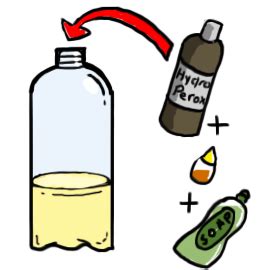 The Elephant's Toothpaste Experiment - ScienceBob.com