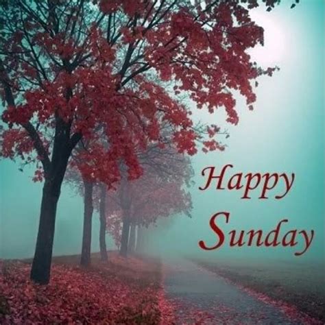 Happy Sunday Hd Images Wallpaper Pictures Photos