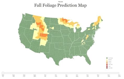Heres The Timeline For The Fall Foliage In Missouri In 2020