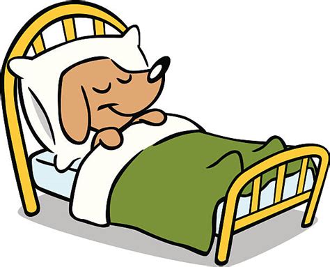 Best Dogs Bed Illustrations Royalty Free Vector Graphics And Clip Art