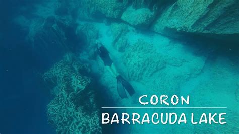 Phoebe Chan Freediving In Barracuda Lake Coron Youtube