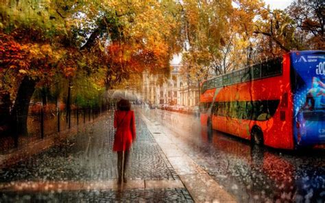 Download Autumn Rain Mobile Wallpapers Bio Wallpaper