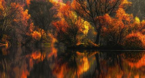 1600x858 Nature Landscape Fall Colorful Lake Water Reflection Forest Amber Yellow Leaves Trees