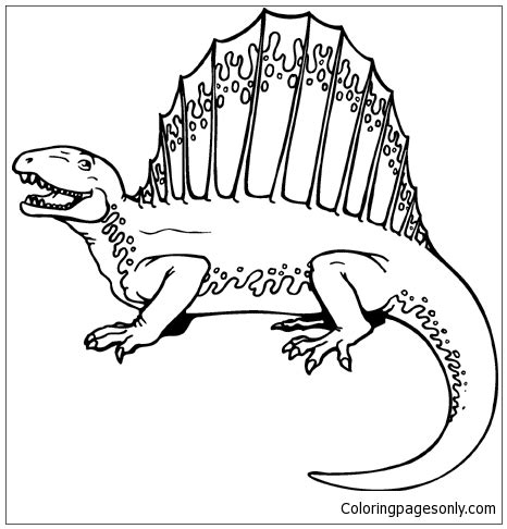 Dimetrodon 5 Coloring Pages - Dimetrodon Coloring Pages - Coloring