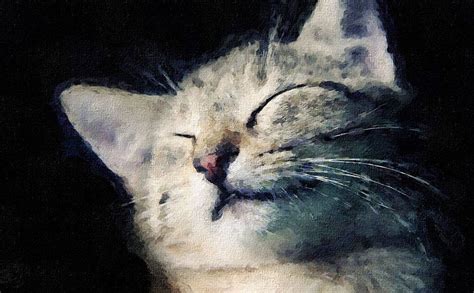 Tweets With Replies By Patrycja Lewicka Ourdayart Cat Painting
