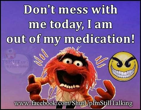 Dont Mess With Me Muppets Quotes Funny Good Morning Quotes Animal
