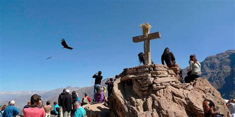 Colca Canyon Colonial Tours Full Day Findlocaltrips