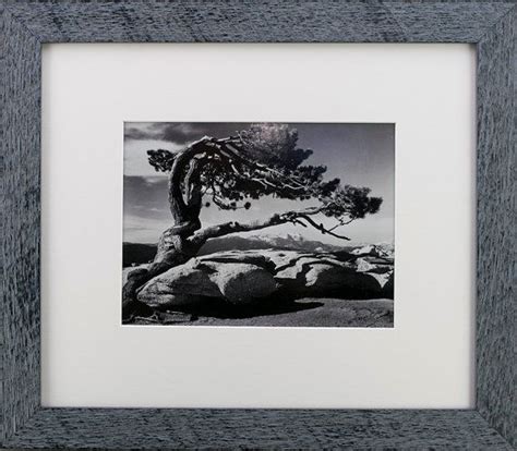 Framed Ansel Adams Photo Jeffrey Pinesentinel Dome Yosemite Park