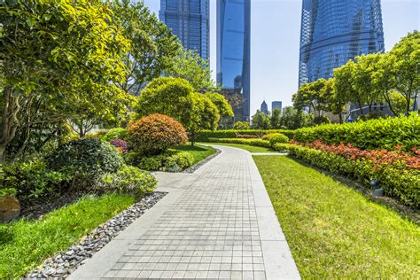Commercial Landscaping In South Miami Franks Lawn And Tree Service