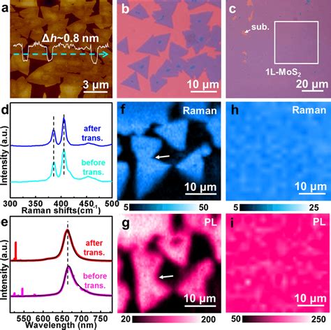 Transfer Of Monolayer Mos 2 Flakes And Films Onto Sio 2 Si Substrates