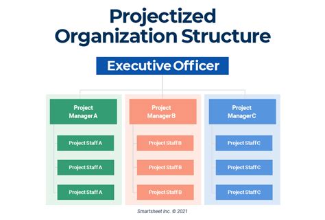 Project Management Organizational Structure Types And Explanation