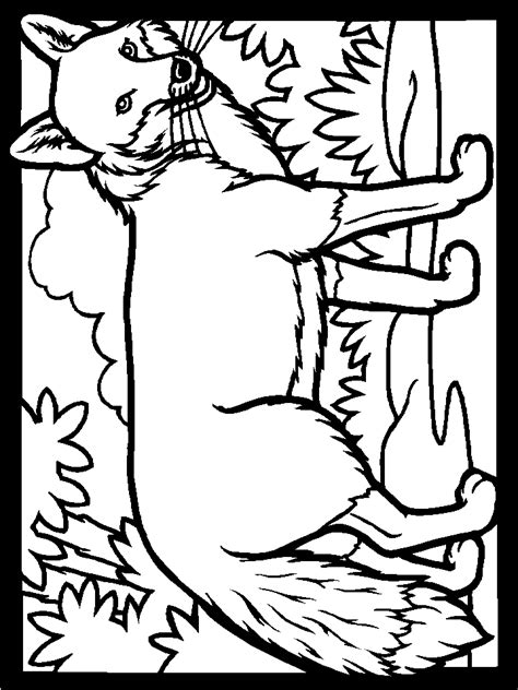 Print Coloring Page And Book Color Fox Animals Coloring