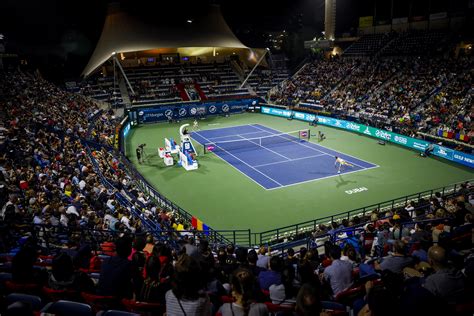 Pest Vibrieren Schattiert Dubai Tennis Open 2020 Stapel China Irgendwo