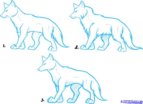 How To Draw Anime Wolves Anime Wolves Step By Step