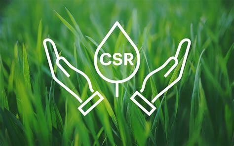Guide To Csr With Great Branding Comes Great Corporate Social