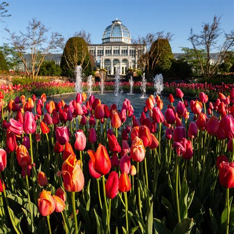 Lewis Ginter Botanical Garden Richmond All You Need To Know Before