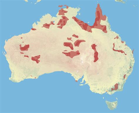 The Distribution Of Brumbies Wild Horses In Australia 3841x3133