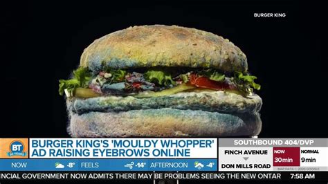 Burger King Whopper Ad