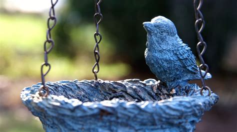 25 Decorative Bird Bath Garden Ideas The Backyard Baron