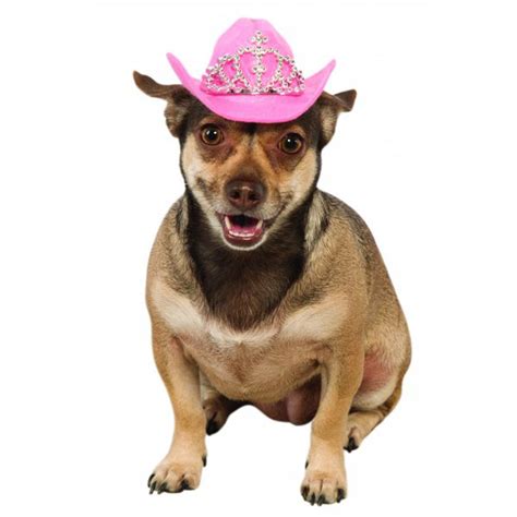 Cowboy Princess Hat Dog Costume Pink Baxterboo