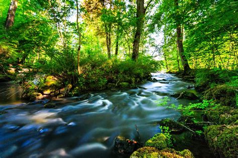 Río Bosque Naturaleza Foto Gratis En Pixabay Pixabay