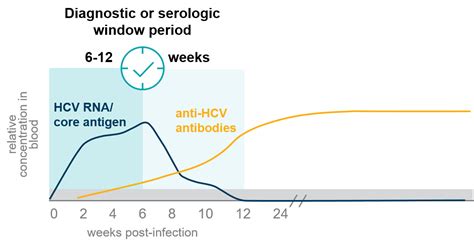 Innovation In Hcv Serology Assays Building The Change In Hepatitis C