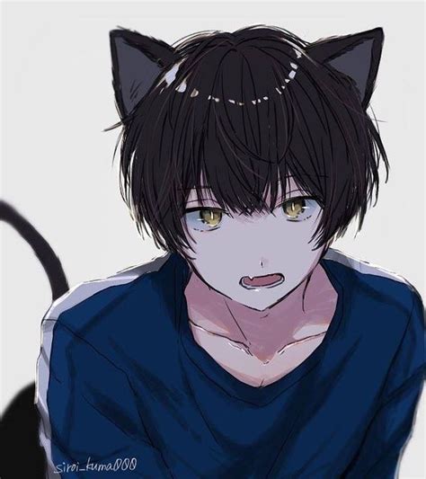 Pin By Hạ Dii On Anime Boy Anime Cat Boy Anime Anime Neko