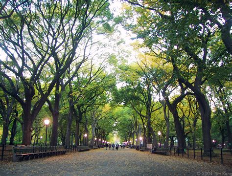 The great lawn is the precise geographical center of the park and was built in the 1930s. Life Around Us: New York: Central Park- The Most Romantic ...