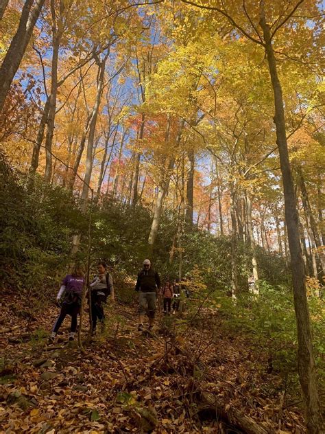 Smoky Mountains Fall Colors October 25 29 2023