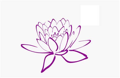 The photograph may be purchased as wall art, home decor, apparel, phone cases, greeting cards, and more. Flower Outline Png - Water Lily Colouring Page ...