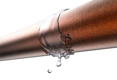 How To Spot A Plumbing Leak Tips From Your Trusted Richardson Tx