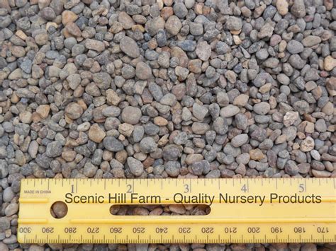 Top dressing of cacti and succulents serves several purposes. River Rock Stone Pebbles, For Bonsai, Cactus, & Succulents ...
