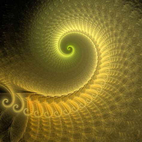 Golden Spiral 2 Free Stock Photo Public Domain Pictures