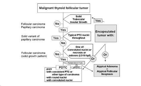 Diagnosis Of Poorly Differentiated Thyroid Carcinoma Based Upon The