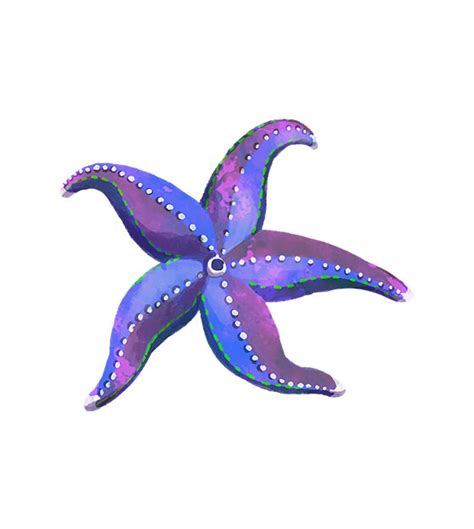 Purple Starfish Vector Design Shop By Aquadigitizing