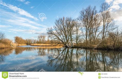 Bare Trees Reflected In The Water Surface Stock Image Image Of Europe