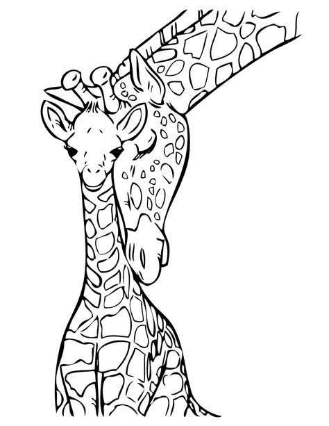 Giraffe Eating Coloring Page