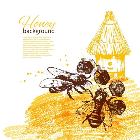 Honey Background With Hand Drawn Sketch Illustration Stock Illustration