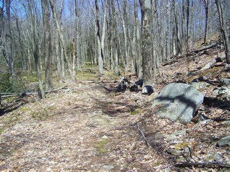 Pinchot State Forest