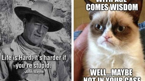 30 I See Stupid People Memes That Will Make You Feel ... Find the best funny stupid wallpapers on wallpapertag.