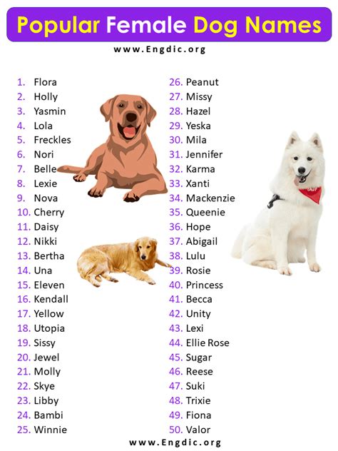 Top 139 Female Animal Names For Pets