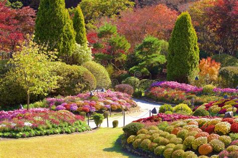 The Garden Of Morning Calm Seoul South Korea Stock Photo Image Of