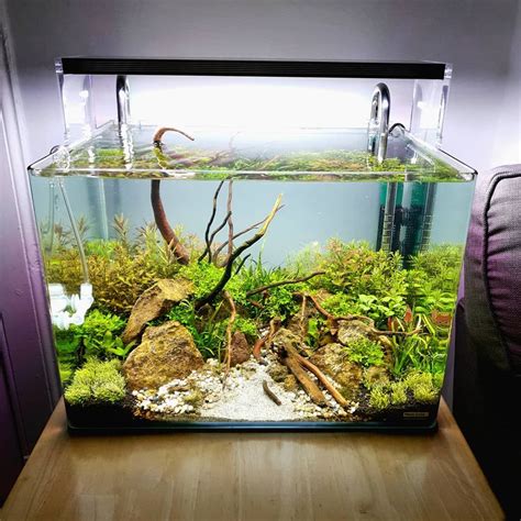 Three Week Update Of Nano Planted Tank Nature Style Aquarium Design