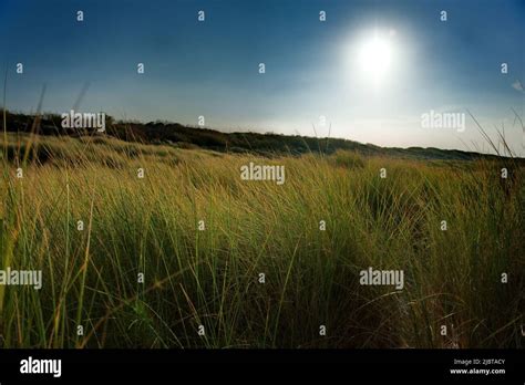 Dune Landscape In The Evening Stock Photo Alamy