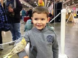 Learn more about pet adoption including how to adopt dogs, cats and other pets. Novi Pet Expo Detroit - That Guy with the Birds!
