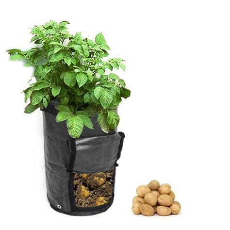 Potato Grow Planter Pe Cloth Planting Container Bag