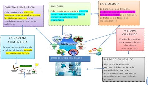 Mapa Conceptual Biologia Images